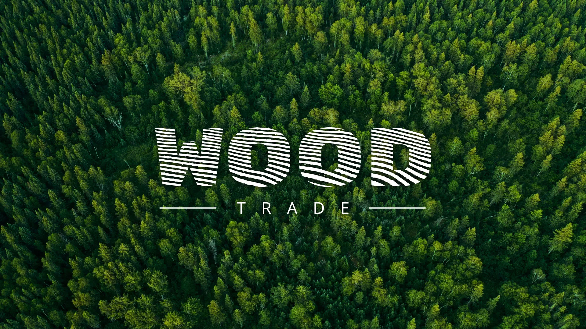 Разработка интернет-магазина компании «Wood Trade» в Кольчугино